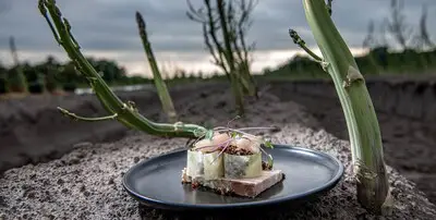 Nieuw seizoen, nieuwe locatie en nieuwe koks: Asperges op de Velden gooit in Leende het roer om