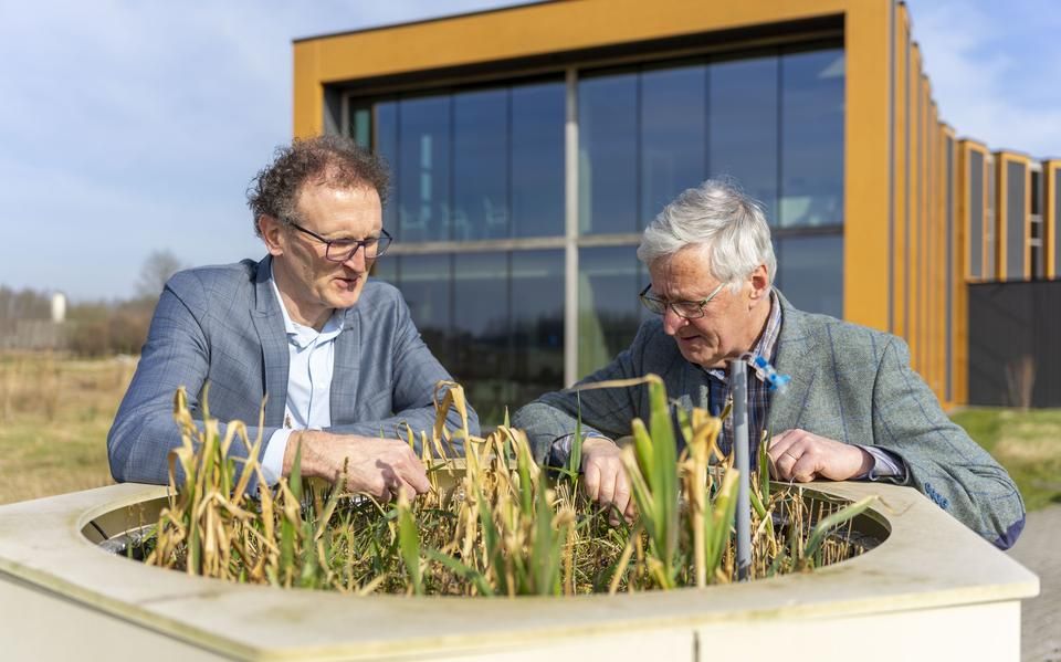 Bodemprofessor Wim van der Putten is gek op bodemdiertjes. ‘Het is eten of gegeten worden en dat is vreselijk leuk om te zien’