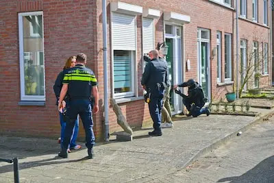 GGD Brabant Zuidoost grijpt in: ‘Meer regie over versnipperde zorg voor verwarden’