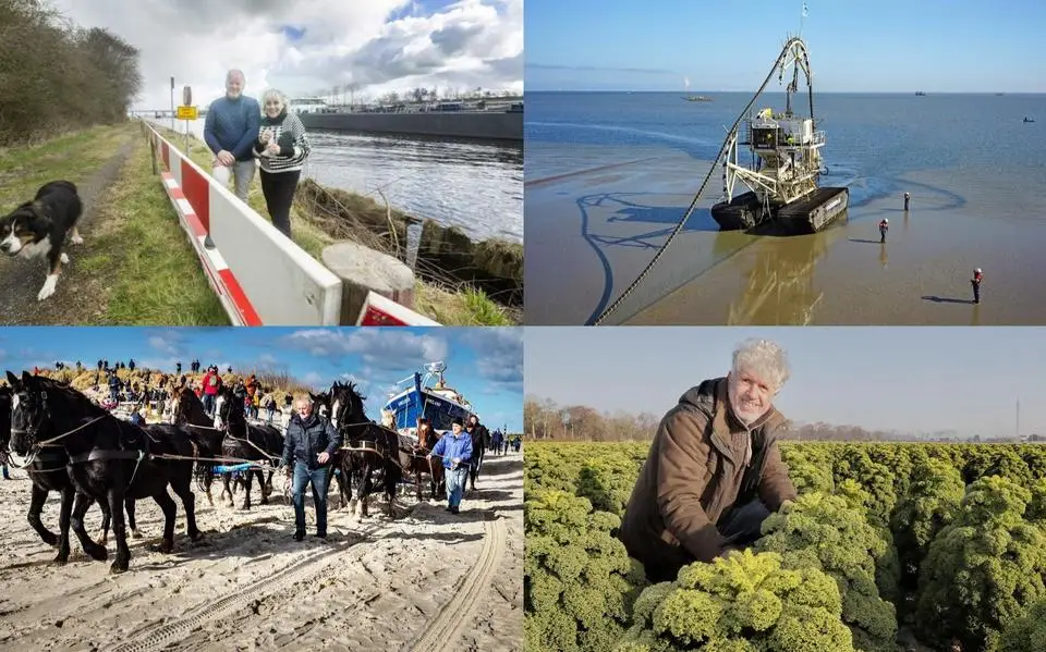 Poiesz redt 10.000 zakjes boerenkool van kliko &amp; al ruim 7000 euro voor nieuw paard reddingboot Ameland | nieuwsoverzicht van 13 maart