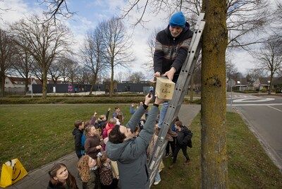 Nieuwe huizen voor de mezen ‘Hier kunnen ze eitjes leggen en schuilen voor de kraaien’