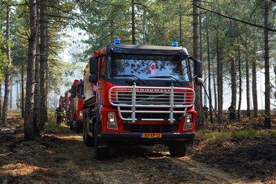 Brand in Eindhovens bos mogelijk aangestoken: voorbijganger zag groepje jongeren