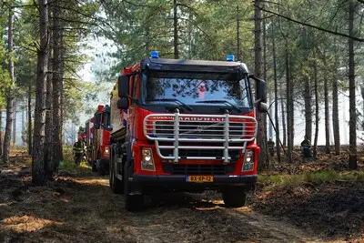 Brand in Eindhovens bos mogelijk aangestoken: voorbijganger zag groepje jongeren
