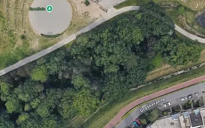 Oude munitie vernietigd in bosgebied in Meerhoven
