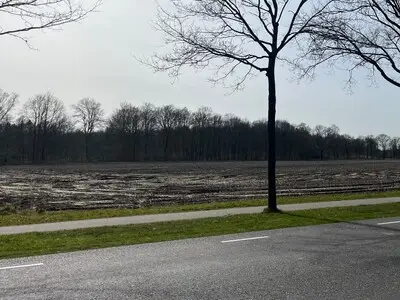 Eersel onderzoekt opvangplek voor 60, 100 of 150  asielzoekers: mogelijk woningen of woonunits langs N284