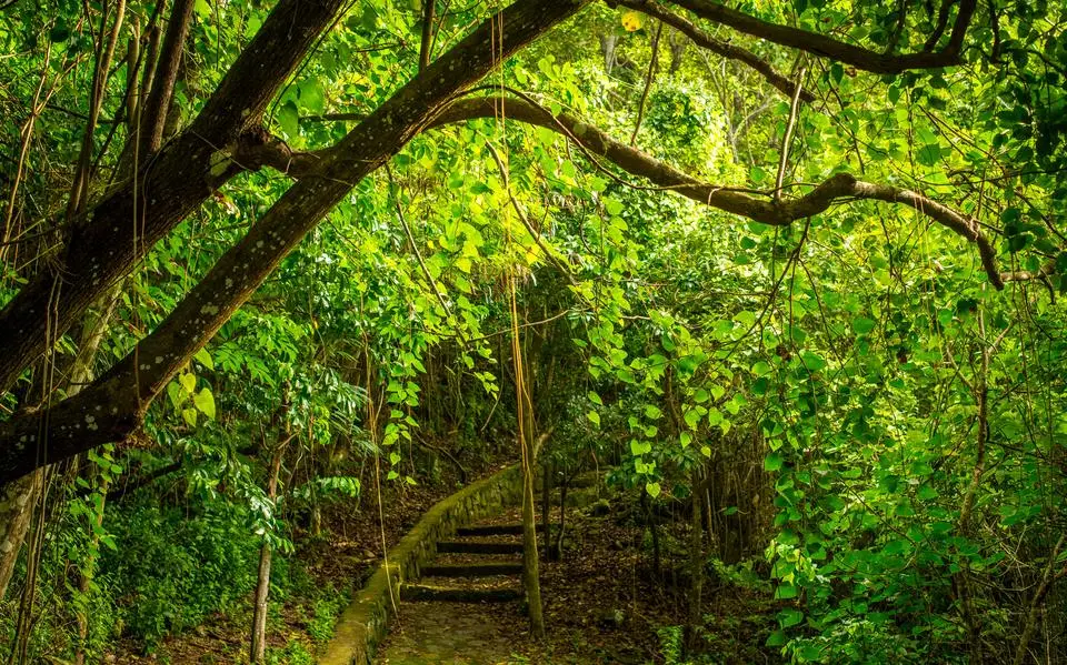 Culinair genieten op Sint Maarten, rust en natuur beleven op Saba: waarom een bezoek aan deze Bovenwindse Eilanden de moeite waard is