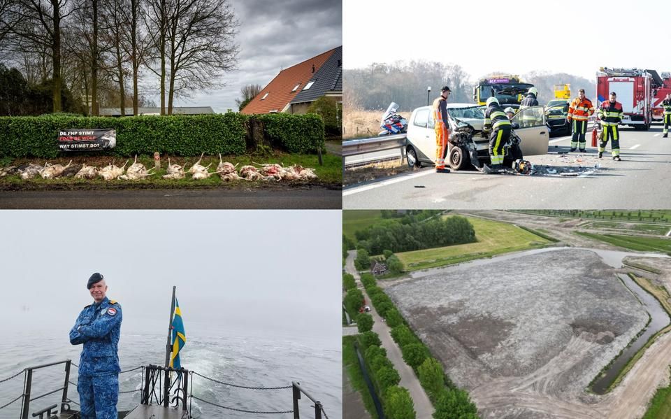 Straatnaam it Konvint in Leeuwarden wordt niet aangepast &amp; Opsterland wil schuilstalletjes voor schapen om wolf tegen te houden | nieuws uit Friesland van 4 maart