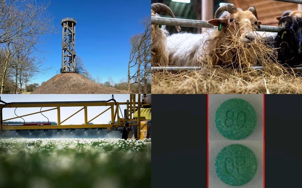 ‘Geen alarmbellen’ bij uitkijktoren Oranjewoud na instorten Wilhelminatoren &amp; gevaarlijke neppillen oxycodon in omloop | nieuws uit Friesland van 18 maart