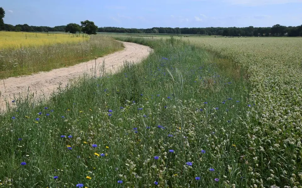 Deze burgers doen het zelf: grond opkopen voor groene boeren. ‘Biodiversiteit is je rendement’
