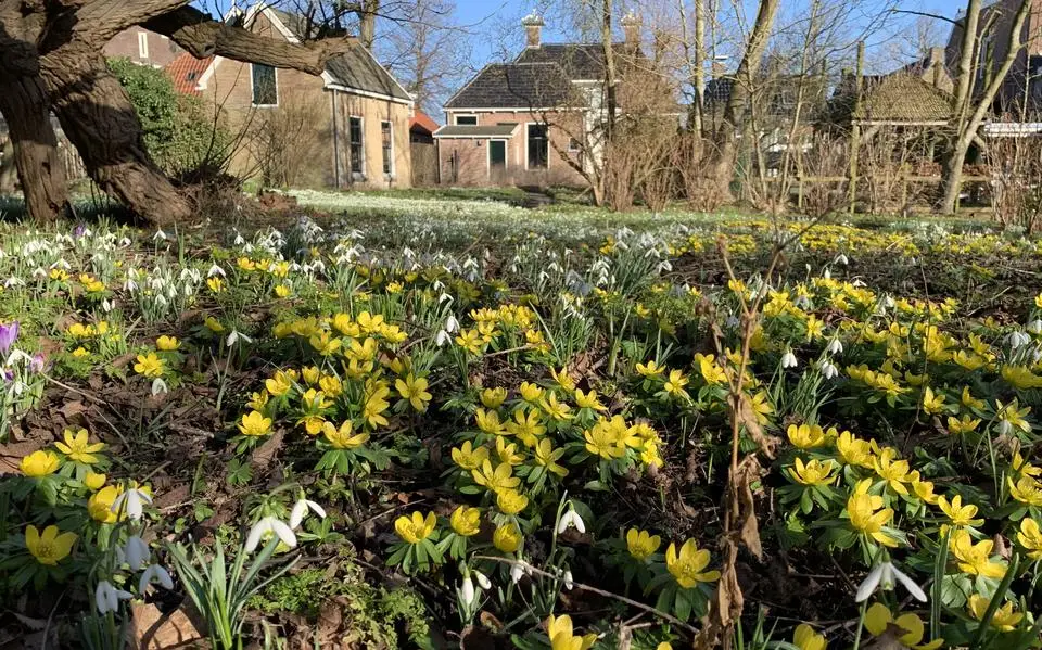 Dit is er dit weekend te doen in Friesland