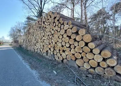 Waarom liggen er stapels boomstammen langs de weg in de gemeente Eersel?