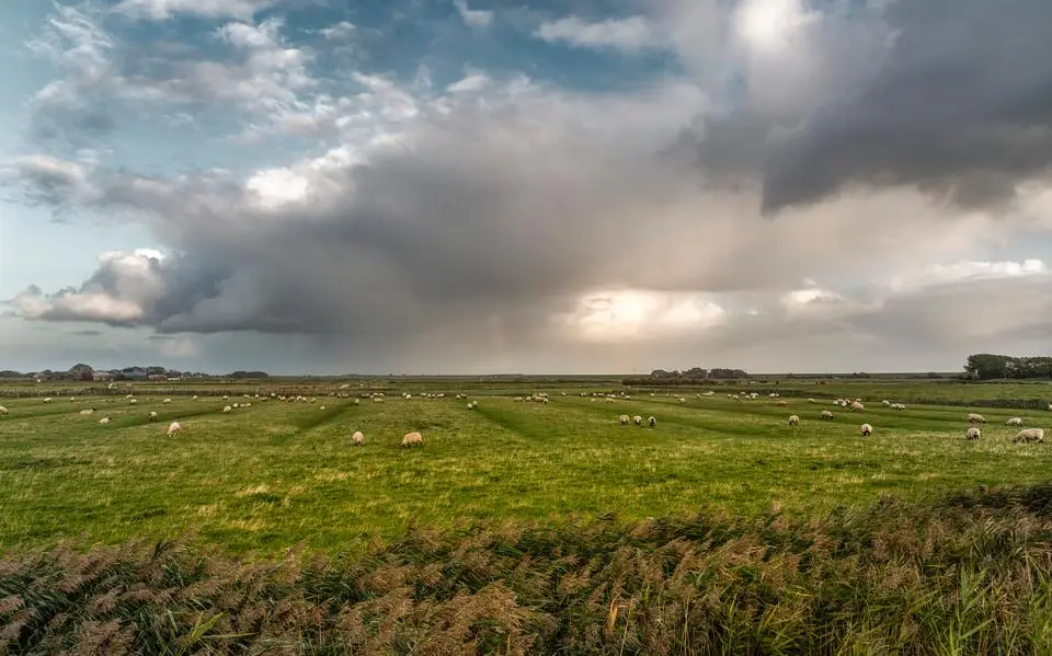 Wisselvallige zondag: wolken, soms zon en enkele buien