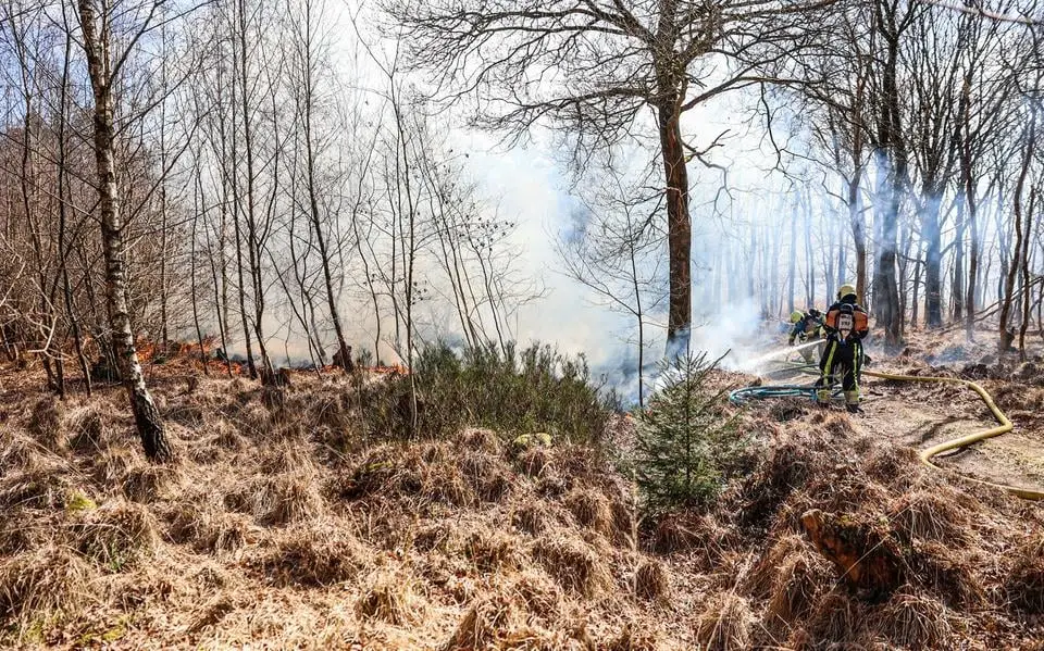 Half voetbalveld aan bos zwartgeblakerd na natuurbrand in Oranjewoud. 'Het is droog'