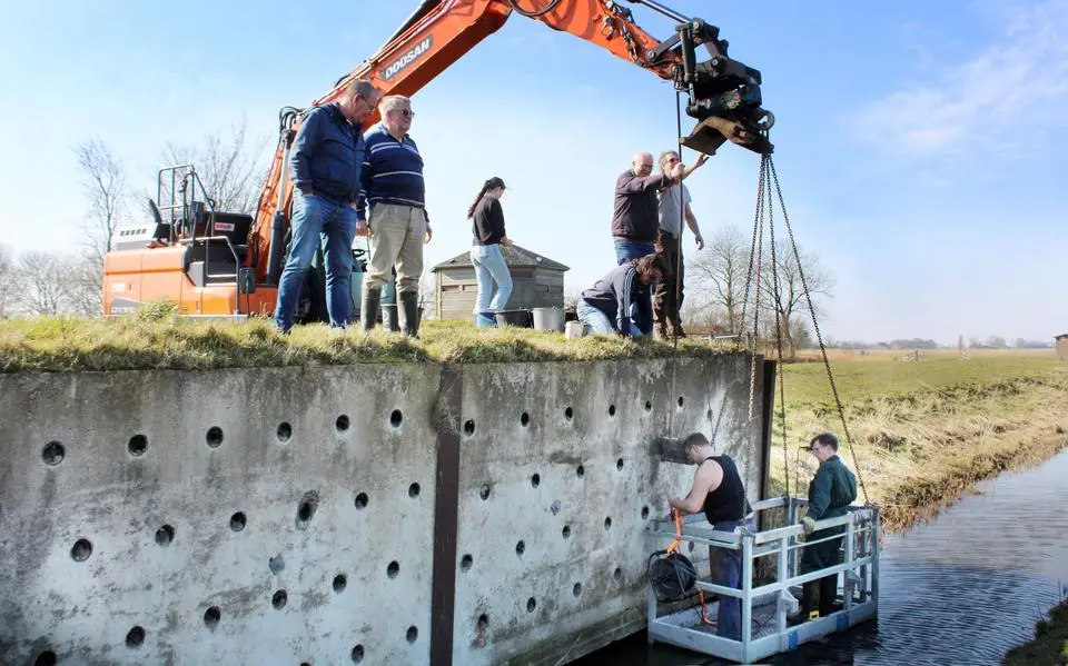 Vrijwilligers vogelwacht bereiden ‘swellewand’ voor op komst oeverzwaluwen naar Wânswert