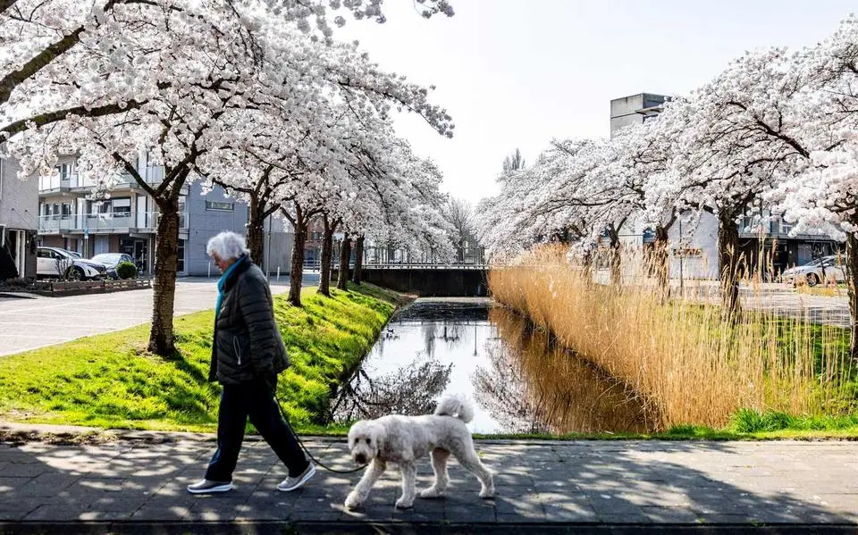 Week vol lenteweer: mogelijk 20 graden en zonnebrandcrème geen overbodige luxe
