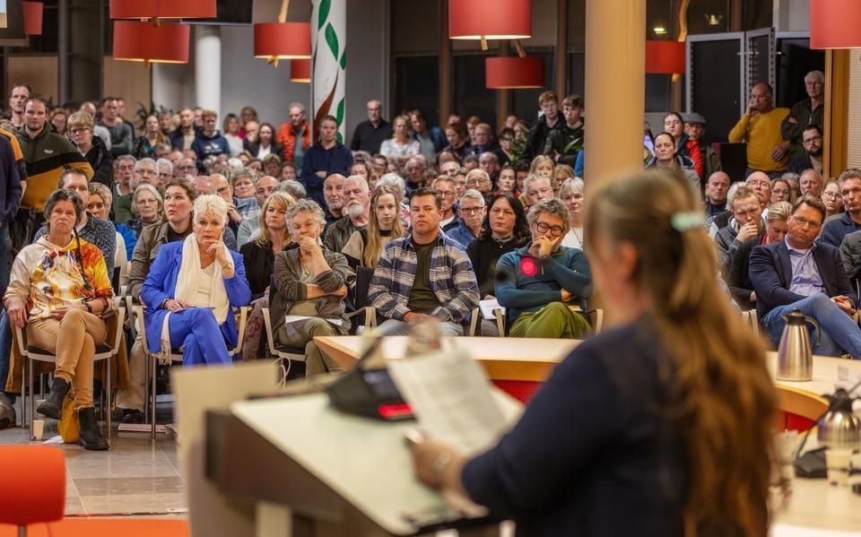 Het is tijd om de wolf te beheren, zegt Ooststellingwerf na noodkreet inwoners. GroenLinks-wethouder stapt op: ‘Kan ik niet’