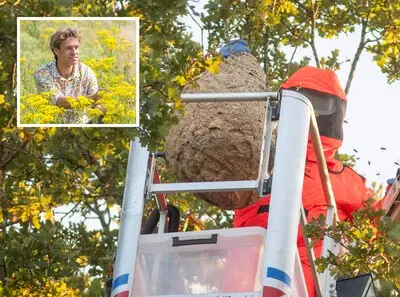 Bijenhouder en insectenkenner Eric: ‘Bestrijden Aziatische hoornaar is volkomen zinloos en zonde van het geld’