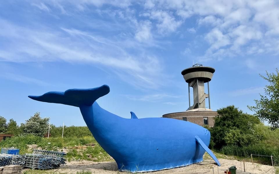 Wordt het verwaarloosde zwemparadijs op Ameland dan toch snel gesloopt? ‘Wij dringen erop aan’