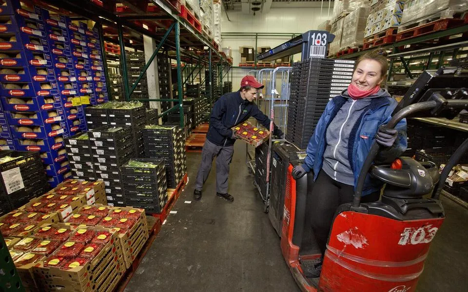 Een op de drie werknemers spreekt een andere taal. Bij AB Vakwerk in Sneek weten ze niet beter