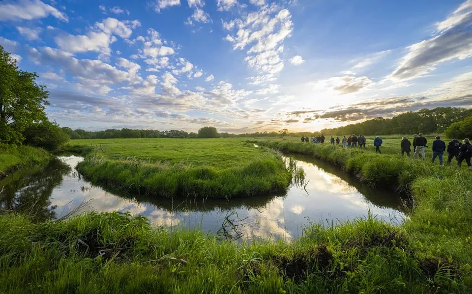 Al die miljarden voor behoud van plantjes en vlindertjes,  maar wat levert de natuur ons eigenlijk op?