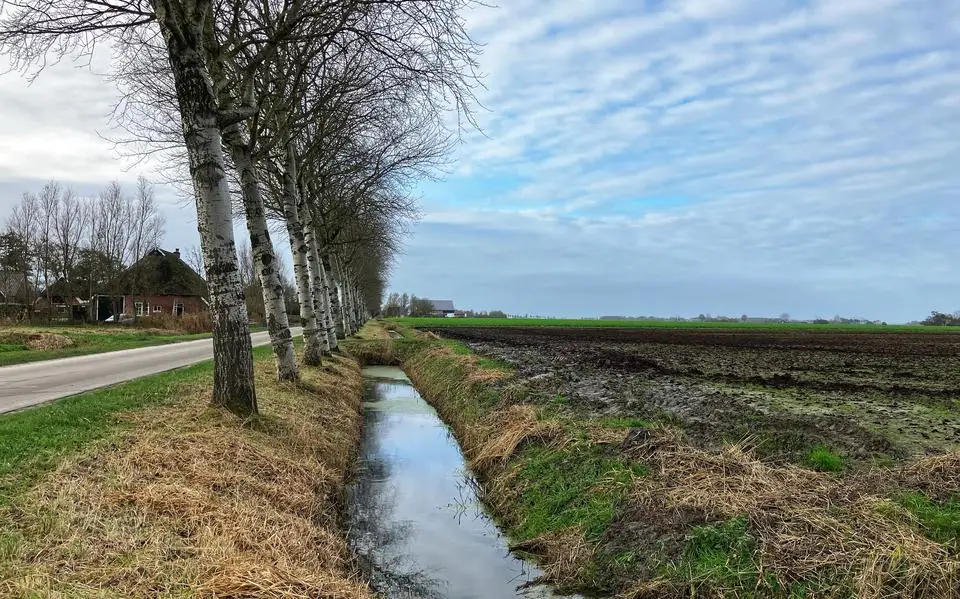 Noardeast-Fryslân krijgt een stichting voor landbouwinclusief wonen: ‘Ons landschap staat onder druk’