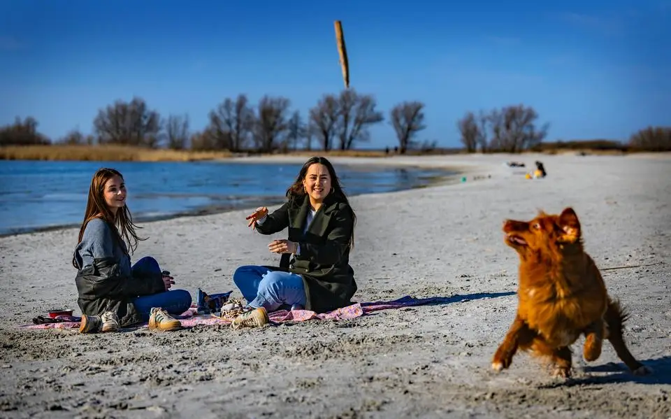 De zonnigste maart ooit gemeten in Friesland. De dag begon niet zelden met een winterjas, om de middag in T-shirt voort te zetten