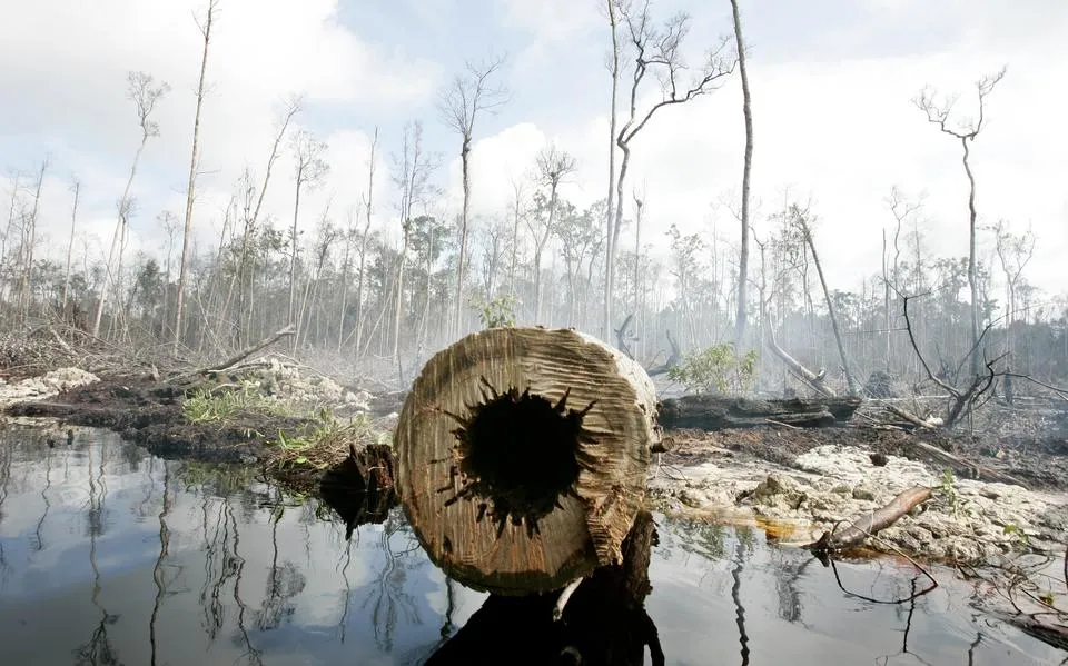 Kunnen wij ook nog een tovenaar worden die de boel op tijd kan redden? | opinie