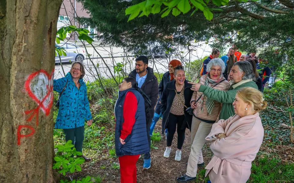 Burgemeester loopt mee met speciale wandelgroep voor anderstaligen: ‘Het is zo’n moeilijke taal’