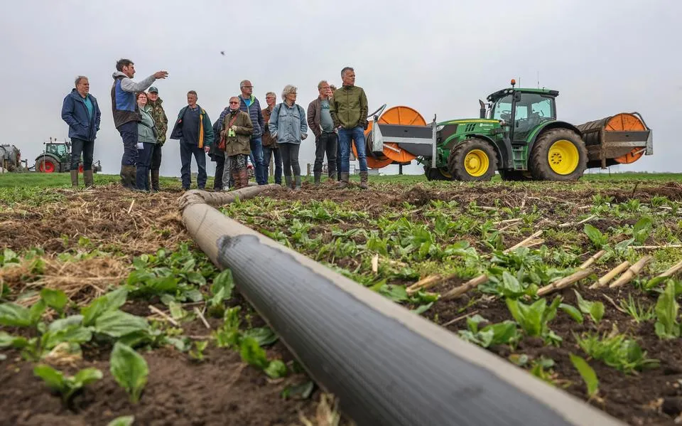 Hoe beschermen we de weidevogels? ‘Een pauze bij het maaien kan al veel levens redden’