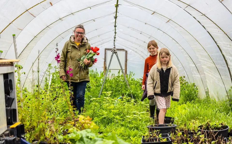 Hoe voorkom je een slachting in je tuin onder insecten?