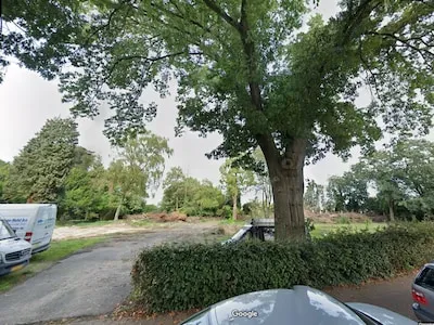 Monumentale eikenboom gekapt in Nieuwstraat Eersel