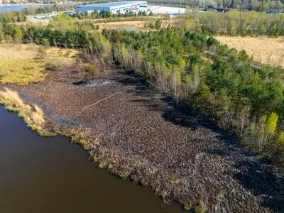 Zwartgeblakerde bomen en een dikke laag as: dit is de schade van de verwoestende bosbrand bij Budel-Dorplein