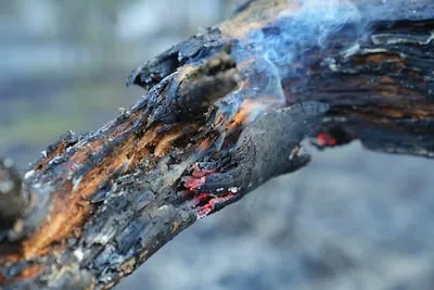 Bosbrand in Heeze: politie zoekt verdachte die in de buurt van brandhaard is gezien