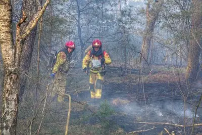 Bosbrand in Weerterbos Budel: brandweer schaalt op vanwege droogte en wind