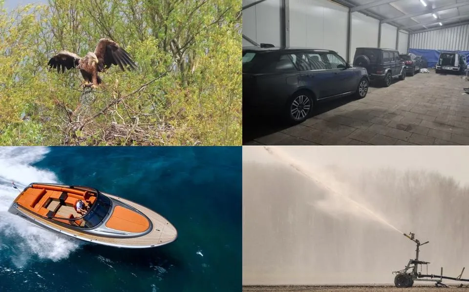 Beschuit met muisjes voor zeearenden in Makkum &amp; politie treft voor 1,5 miljoen euro aan gestolen auto’s aan | nieuws uit Friesland van 8 april