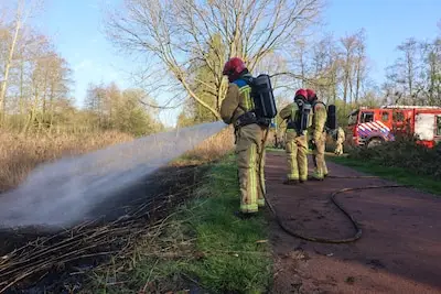 Brandweer rukt weer uit voor natuurbrand, vuur snel onder controle in Geldrop