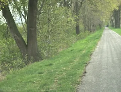 Twee mannen (22 en 51) aangehouden voor poging aanranding vrouw in buitengebied Tilburg