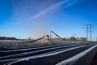 Zeldzaam metrolo­gisch fenomeen duikt op in Nuenen en sloopt aspergeveld