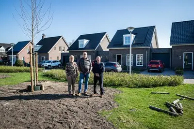 Helmond plant bomen ‘zonder overleg’: ‘Het is nu een iel boompje, maar straks...’