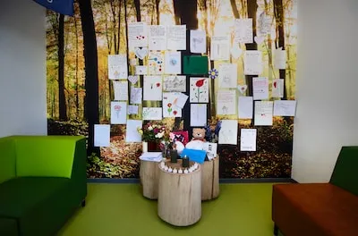 Zelfgeko­zen dood van Nina (14) brengt ongezien leed Poolse Helmonders aan het licht