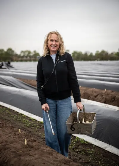 Van veld tot vork: waar koop je dit jaar het ‘witte goud’ in Peel en Kempen?