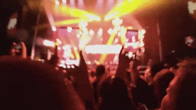 Harde beats en emotie: Brabants landschap wordt deze zomer weer een openluchtdiscotheek