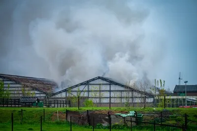 Grote brand in schuur in Boskoop, flinke rookwolken in omgeving te zien