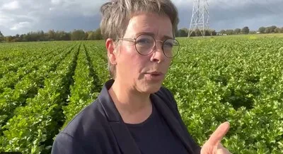 Politiek schrikt van sterfte door overstorten; BBB wil onderste steen boven