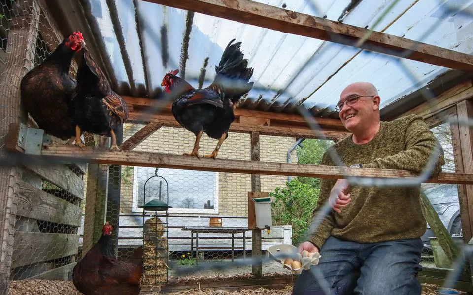 Johan uit Bolsward blijft de eieren van zijn kippen gewoon eten, ondanks advies van het RIVM