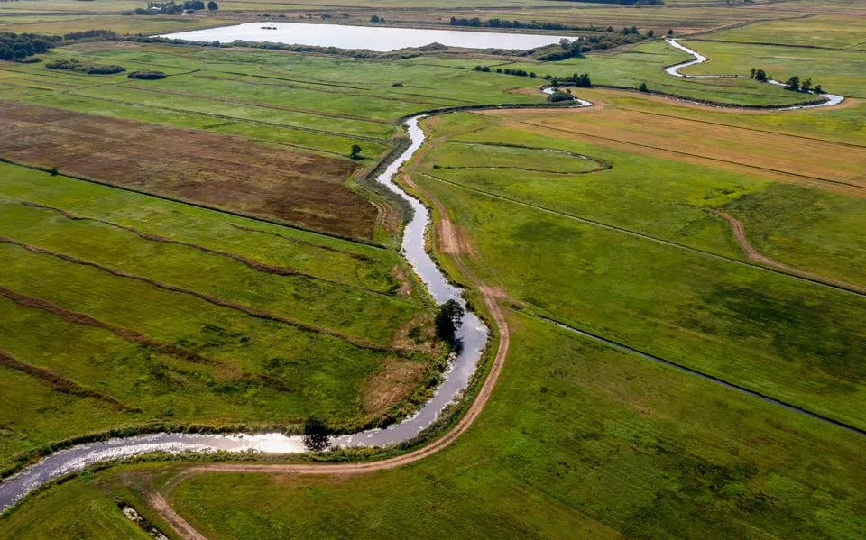 Stikstofopgave voor landbouw afgezwakt, maar nog weinig perspectief. „Hjir leit in resept foar ûngemakken.”