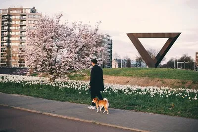 Van geitenyoga tot livemuziek: doen met Pasen 2025 in Eindhoven