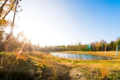Natuurfoto's perfect geschoten: IVN Heeze-Leende geeft praktische tips - ook voor je telefoon