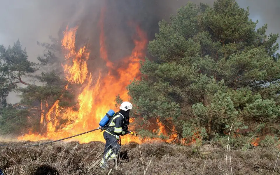 Code rood: Friese brandweer is extra alert vanwege droogte in de natuur (en geeft deze tips)