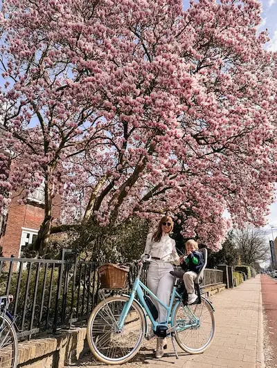 Hallo lente! 9 x magnolia's in bloei in Eindhoven